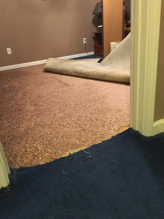 Carpet pad removal revealing water damage during Water Mitigation Services in Petal