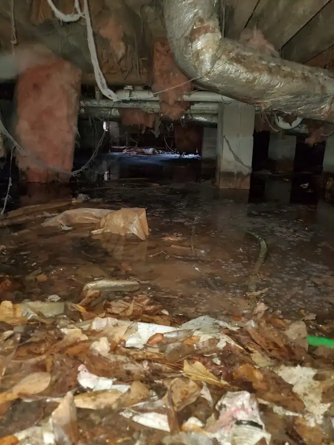 Crawl space flood assessment for Leak Detection & Repair in Petal